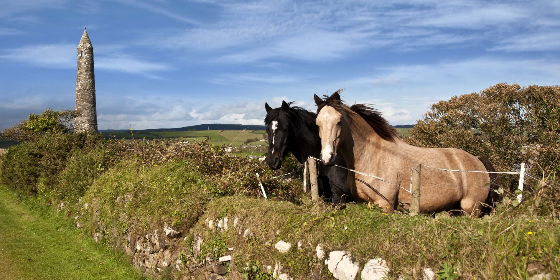 To smukke, irske heste foran et gammelt, rundt tårn i Ardmores smukke landskab i Waterford County i Irland