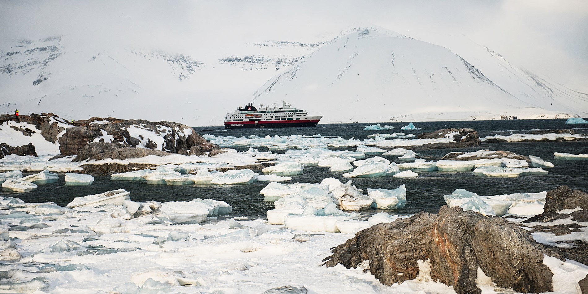 Hurtigruten i isbjørnen, Spitsbergen. 