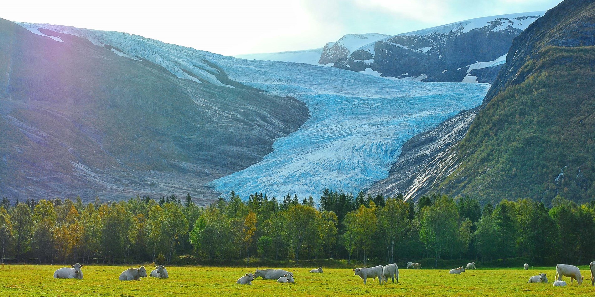 Svartisen – når gletsjeren streched over dette felt