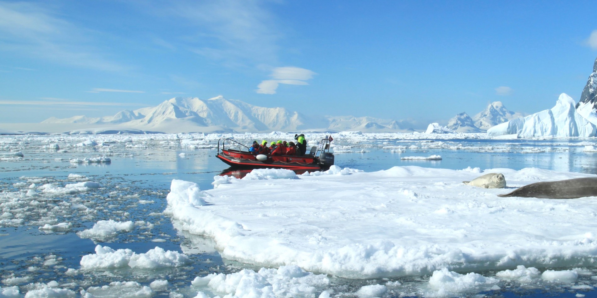 Ekspedition med Hurtigrutens Polar Circle-båd i Antarktis