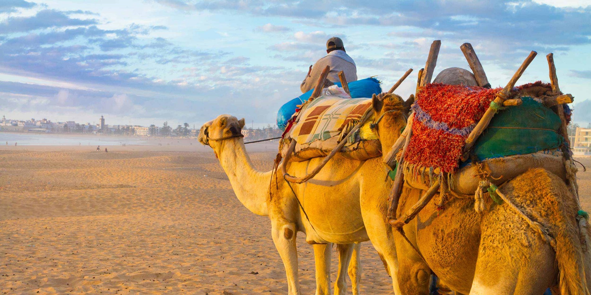 Kamel campingvogn på stranden i Marokko