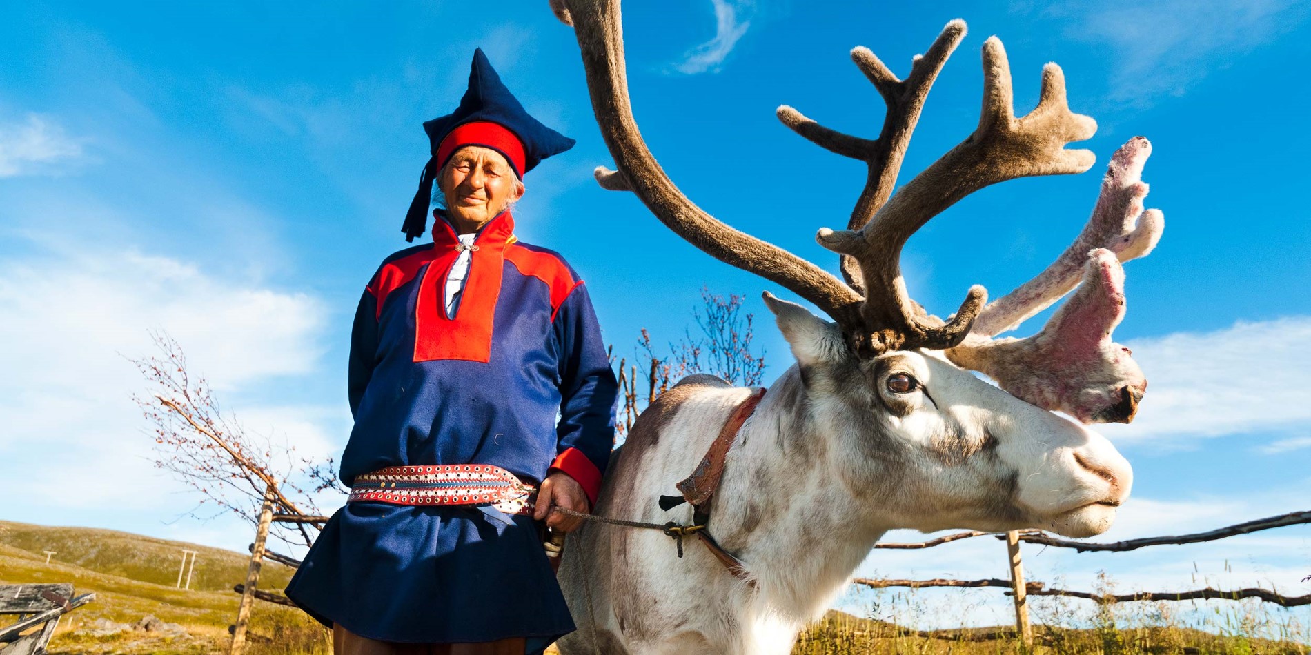 Rensere er afgørende for samisk kultur og liv